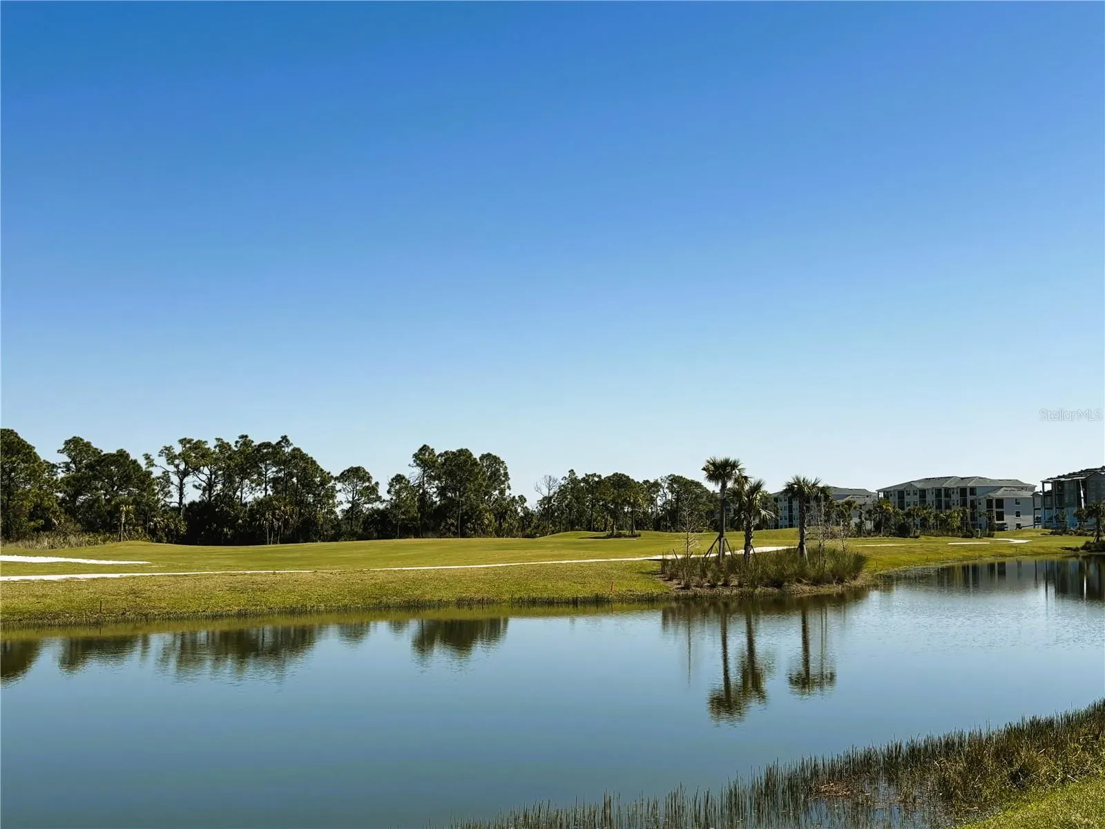 12470 WELLEN GOLF ST #203, #203