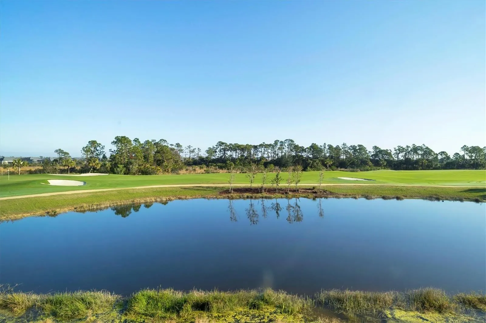12470 WELLEN GOLF ST #203, #203