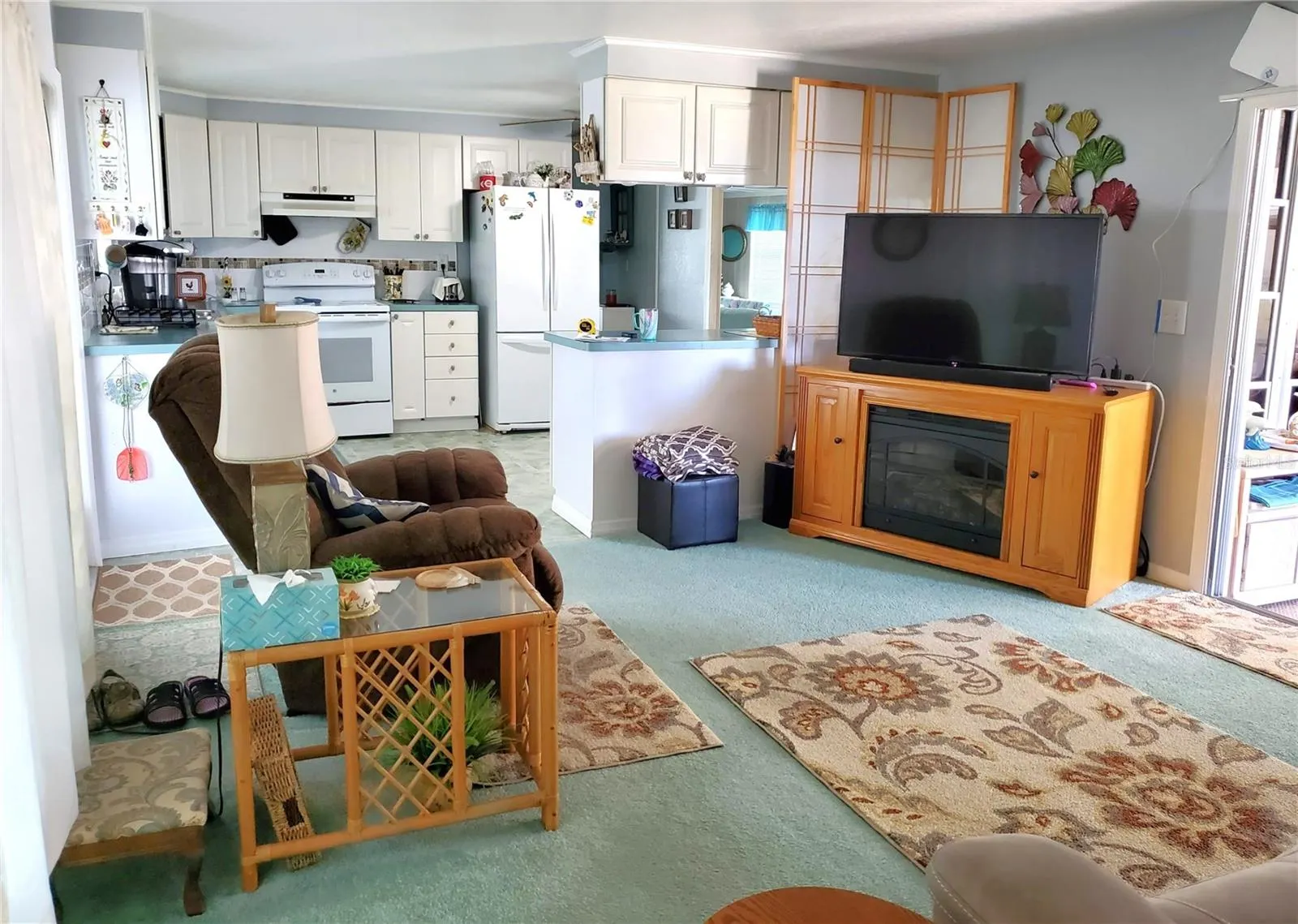 176 W MANATEE LOOP