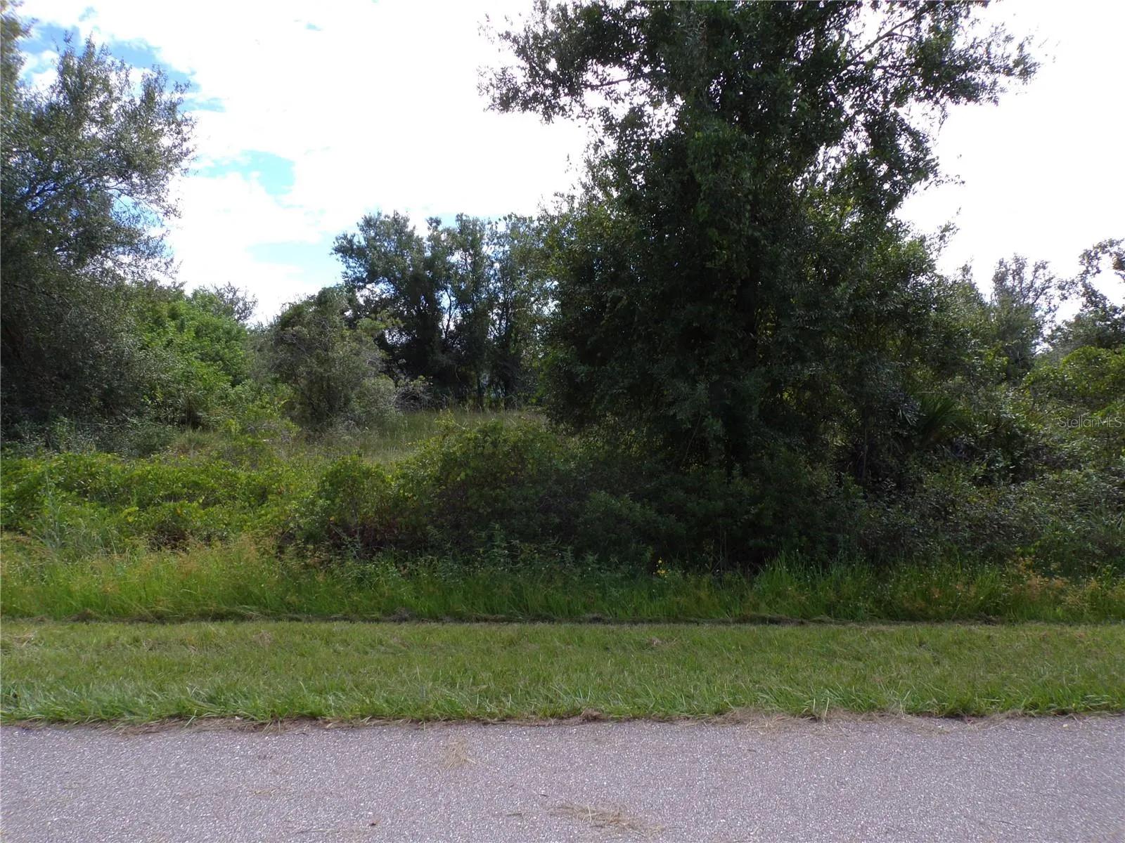 36 VINE CIR