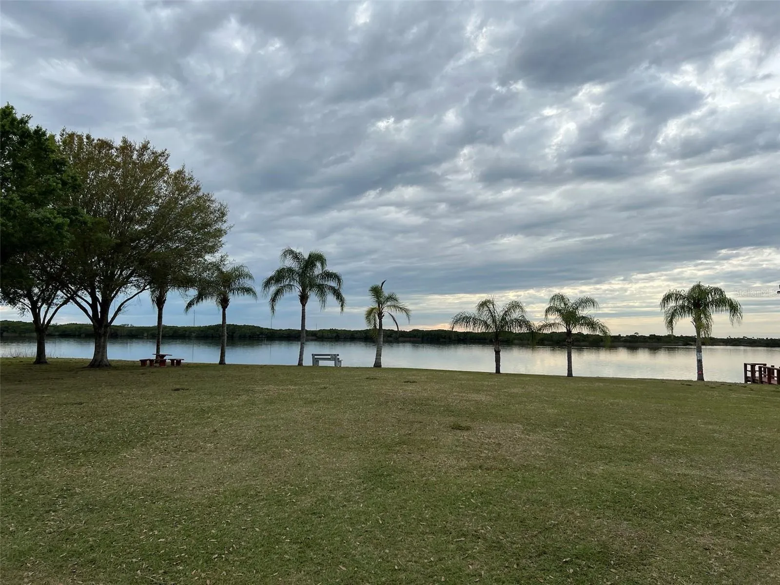 36 VINE CIR