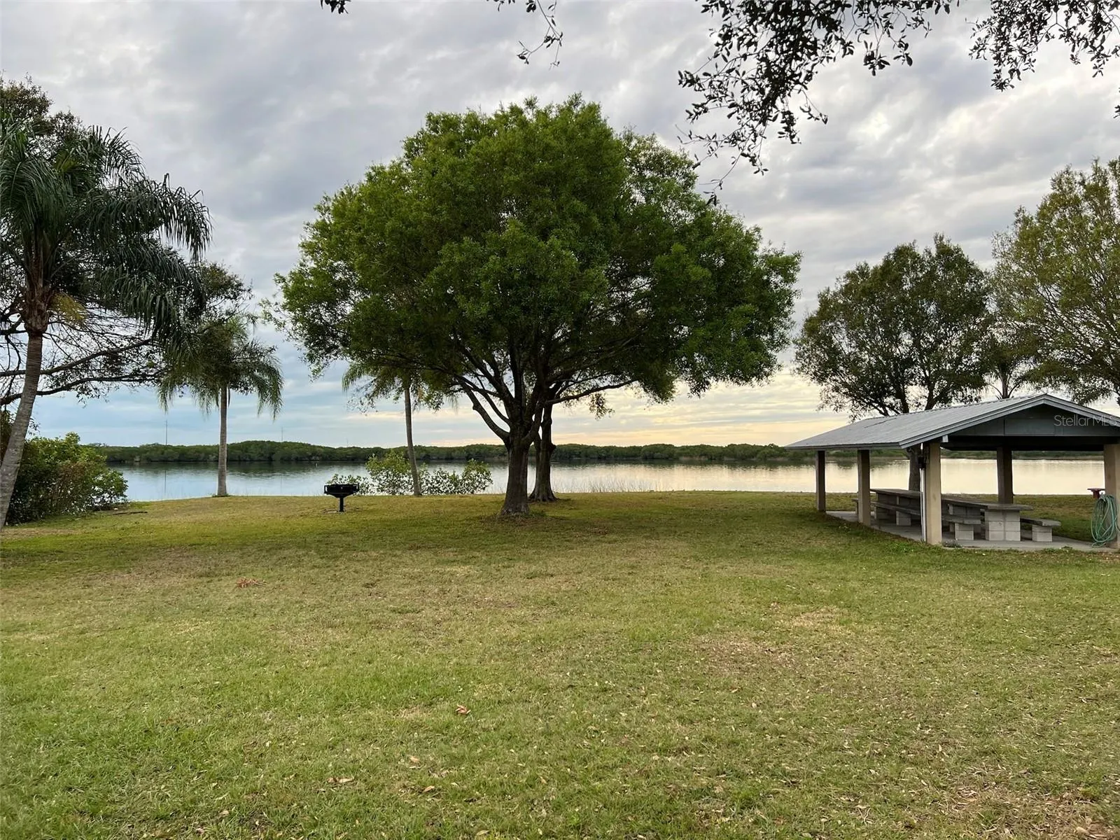 36 VINE CIR