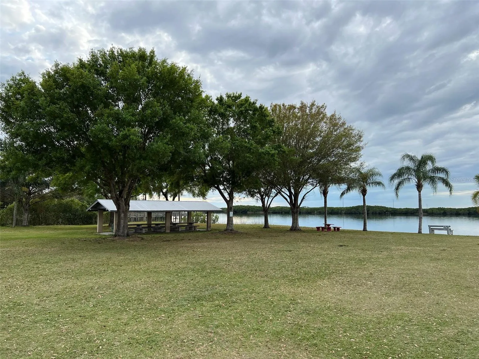 36 VINE CIR