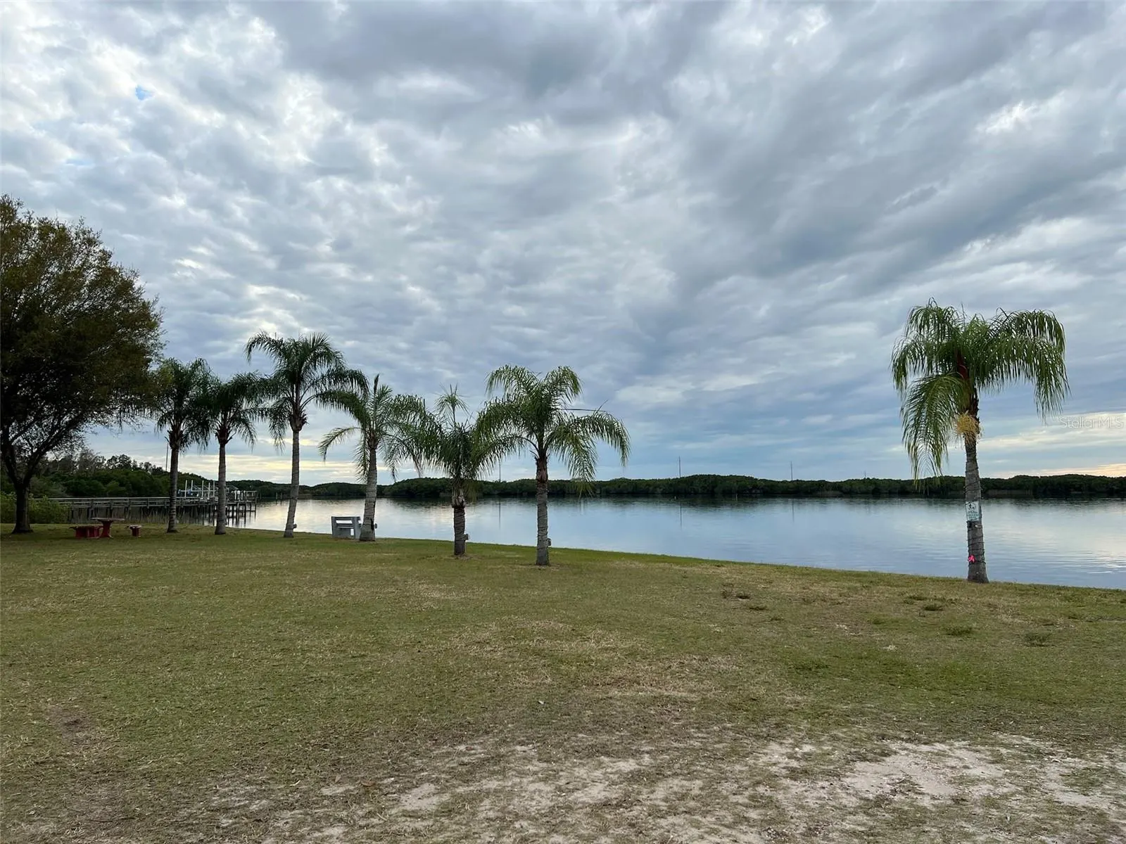 36 VINE CIR