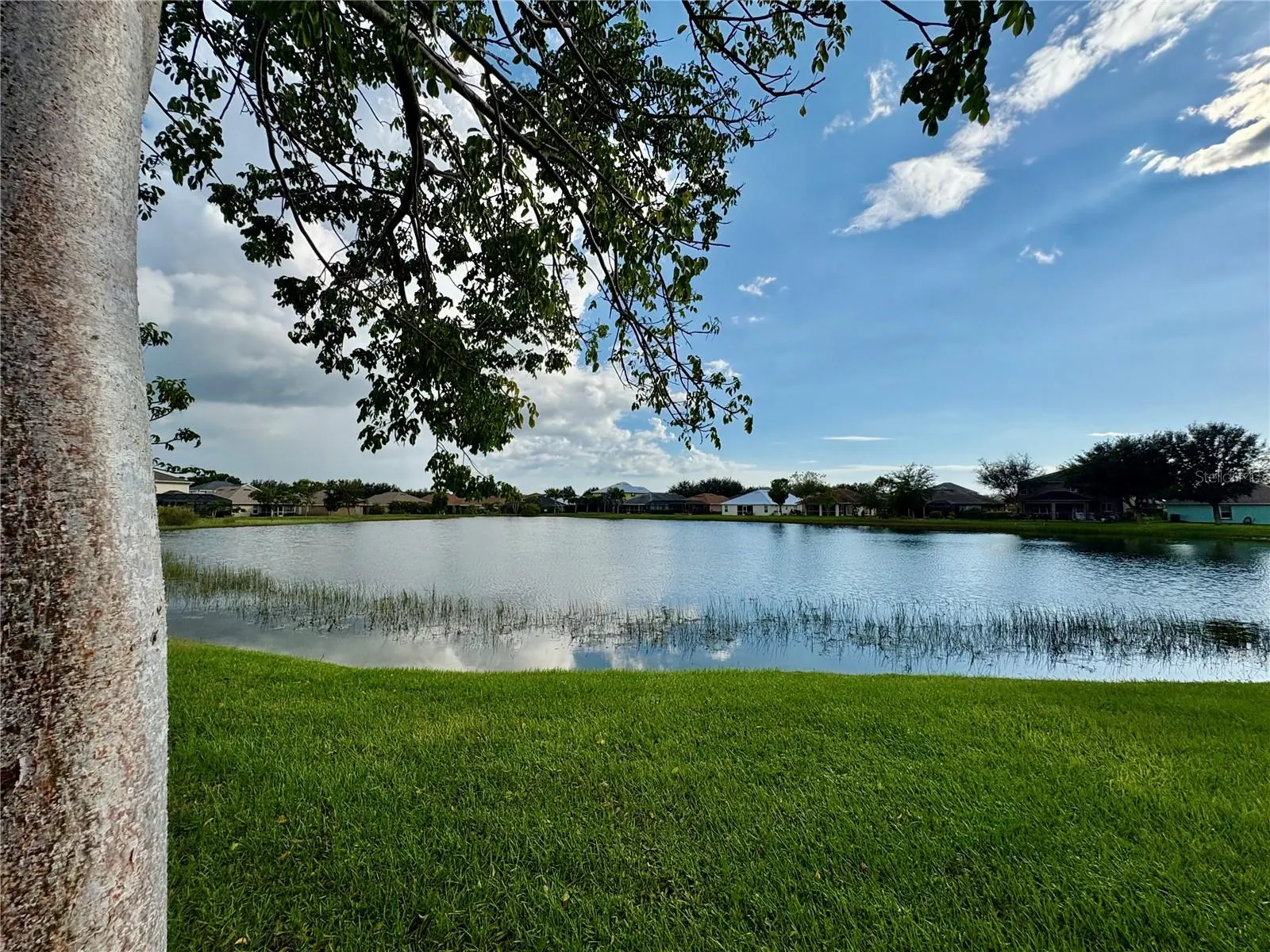 27071 BROOK FOREST RD