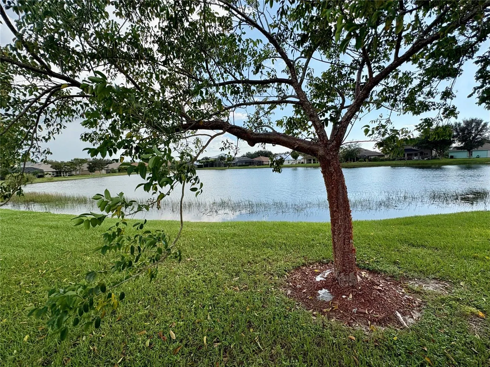 27071 BROOK FOREST RD