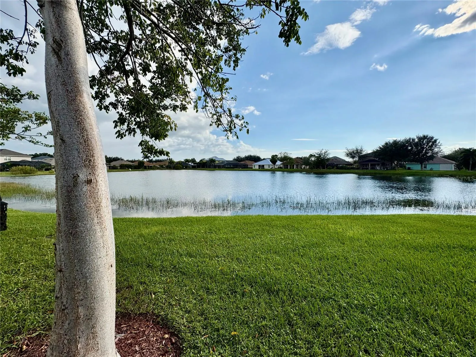 27071 BROOK FOREST RD
