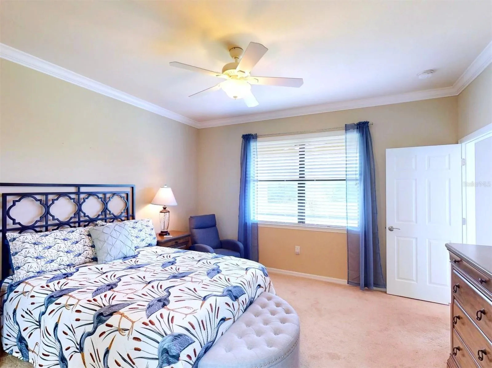 2444 DAISY DR