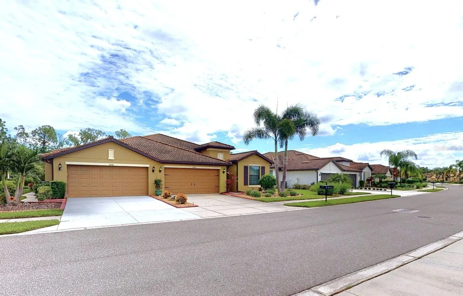 2444 DAISY DR
