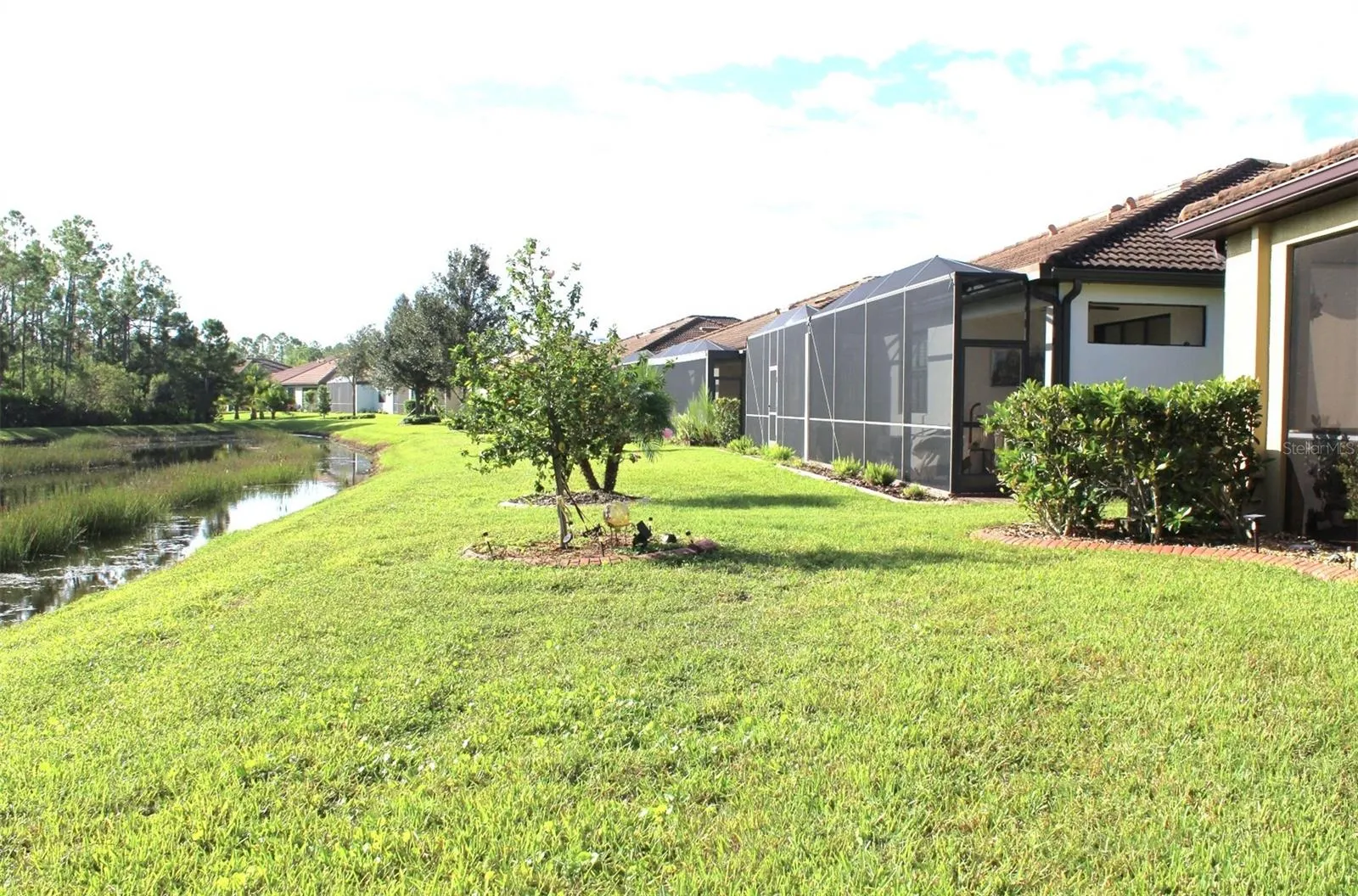 2444 DAISY DR
