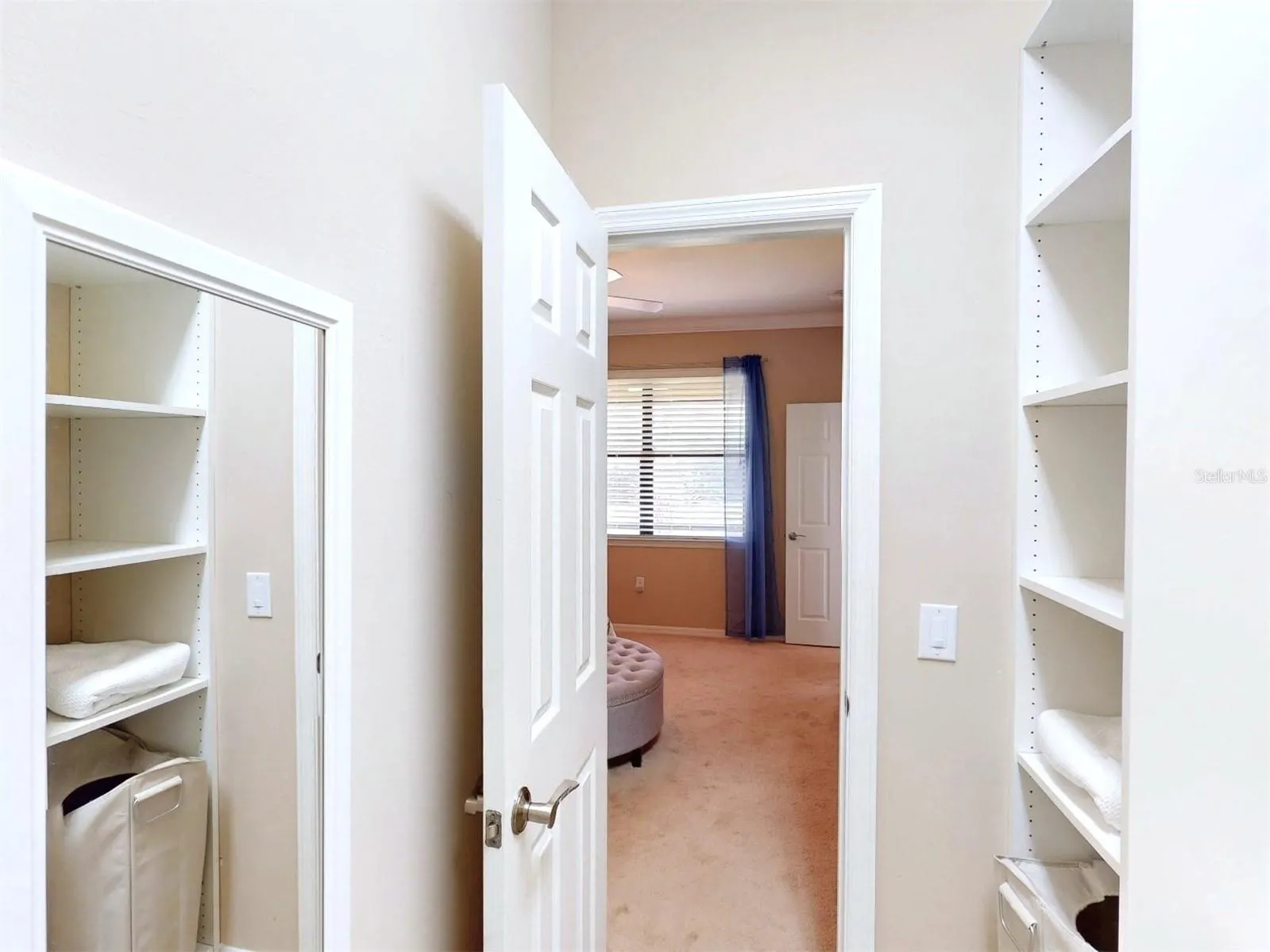 2444 DAISY DR