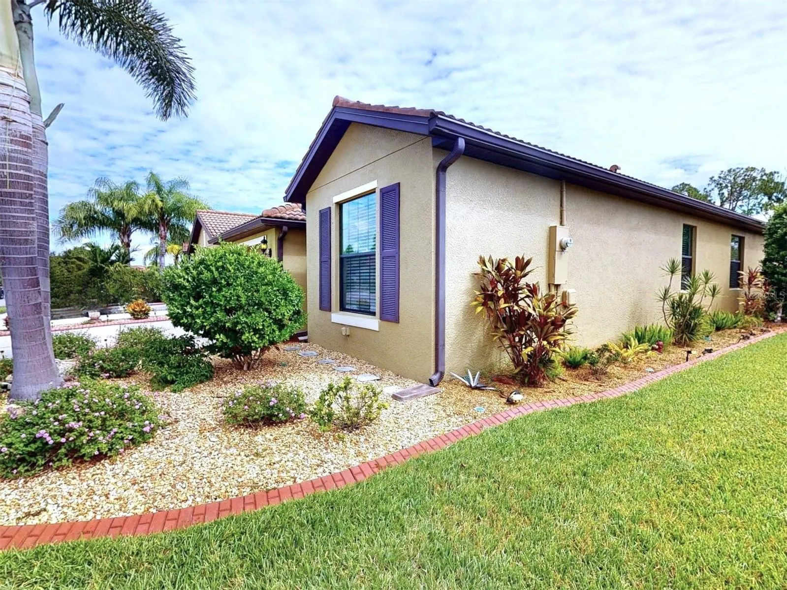 2444 DAISY DR