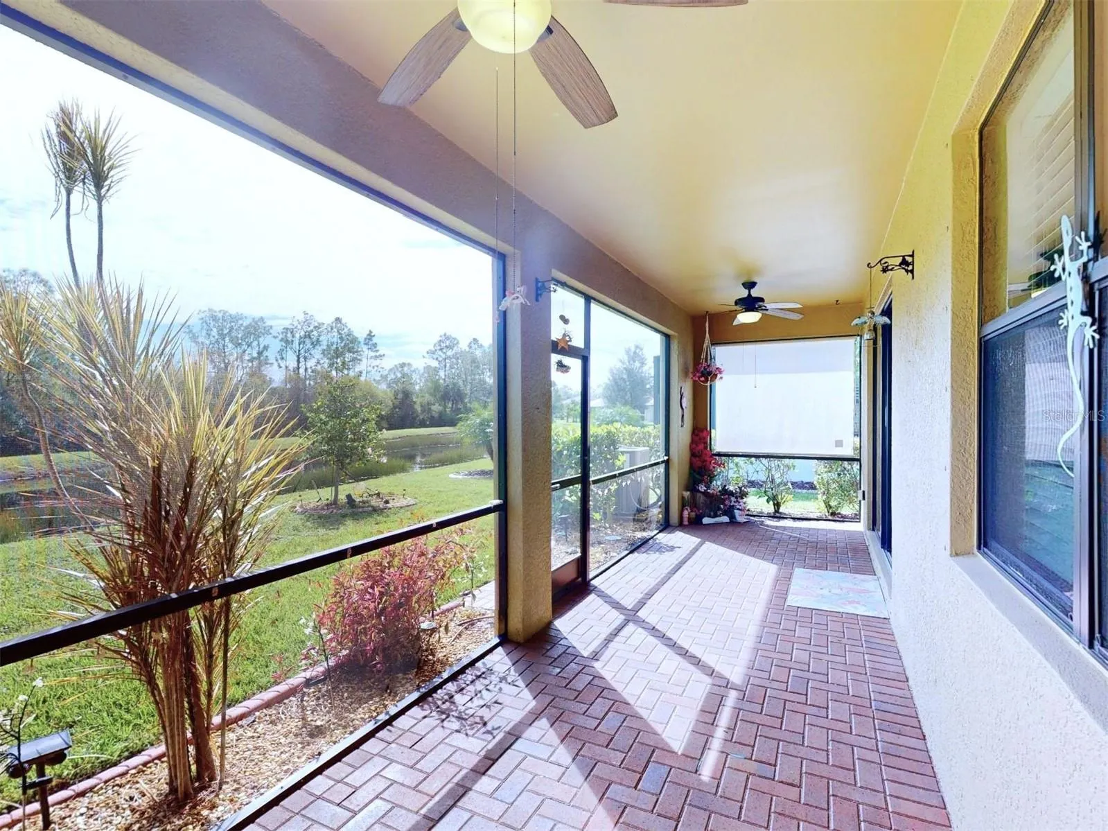 2444 DAISY DR