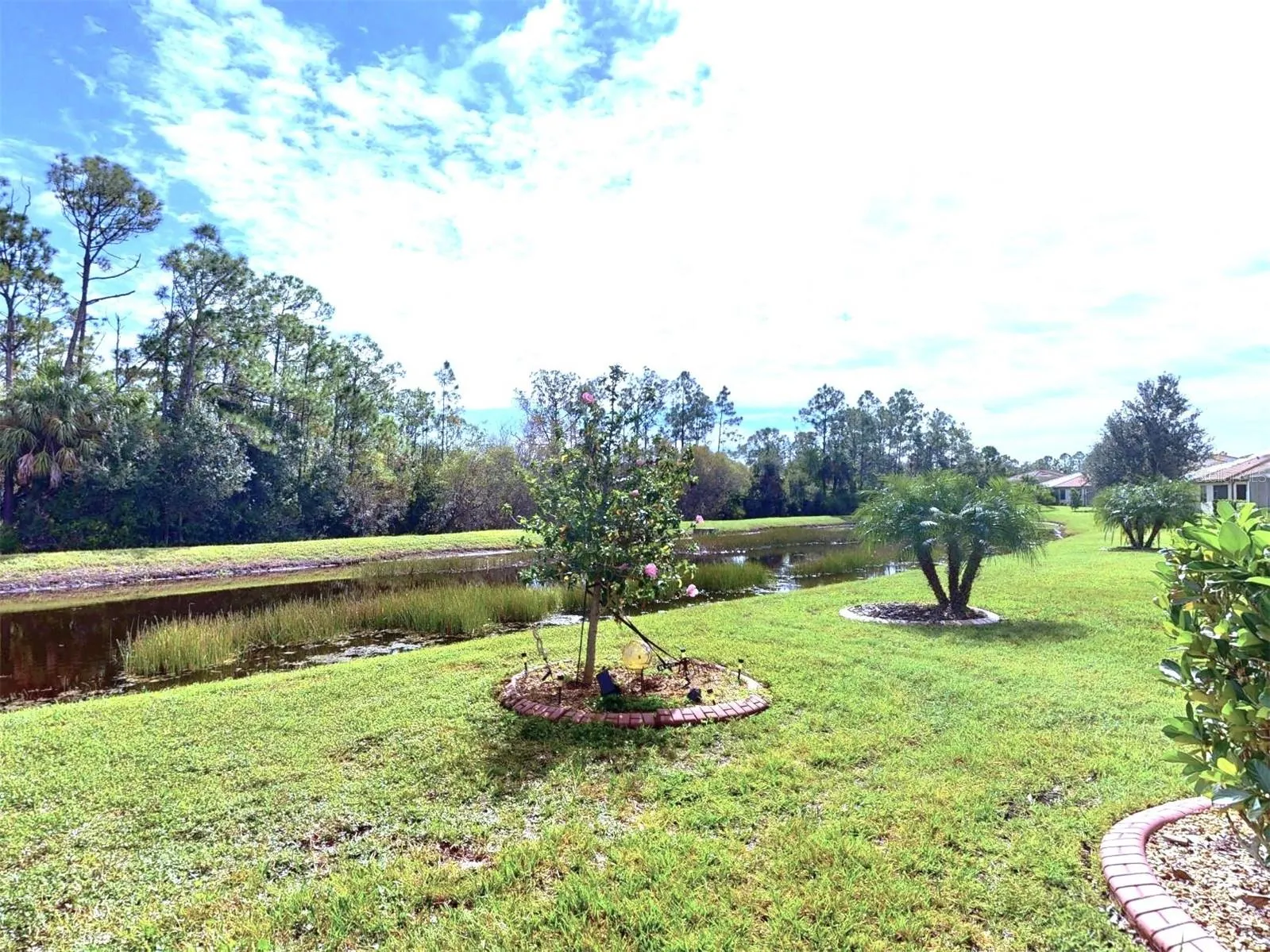2444 DAISY DR