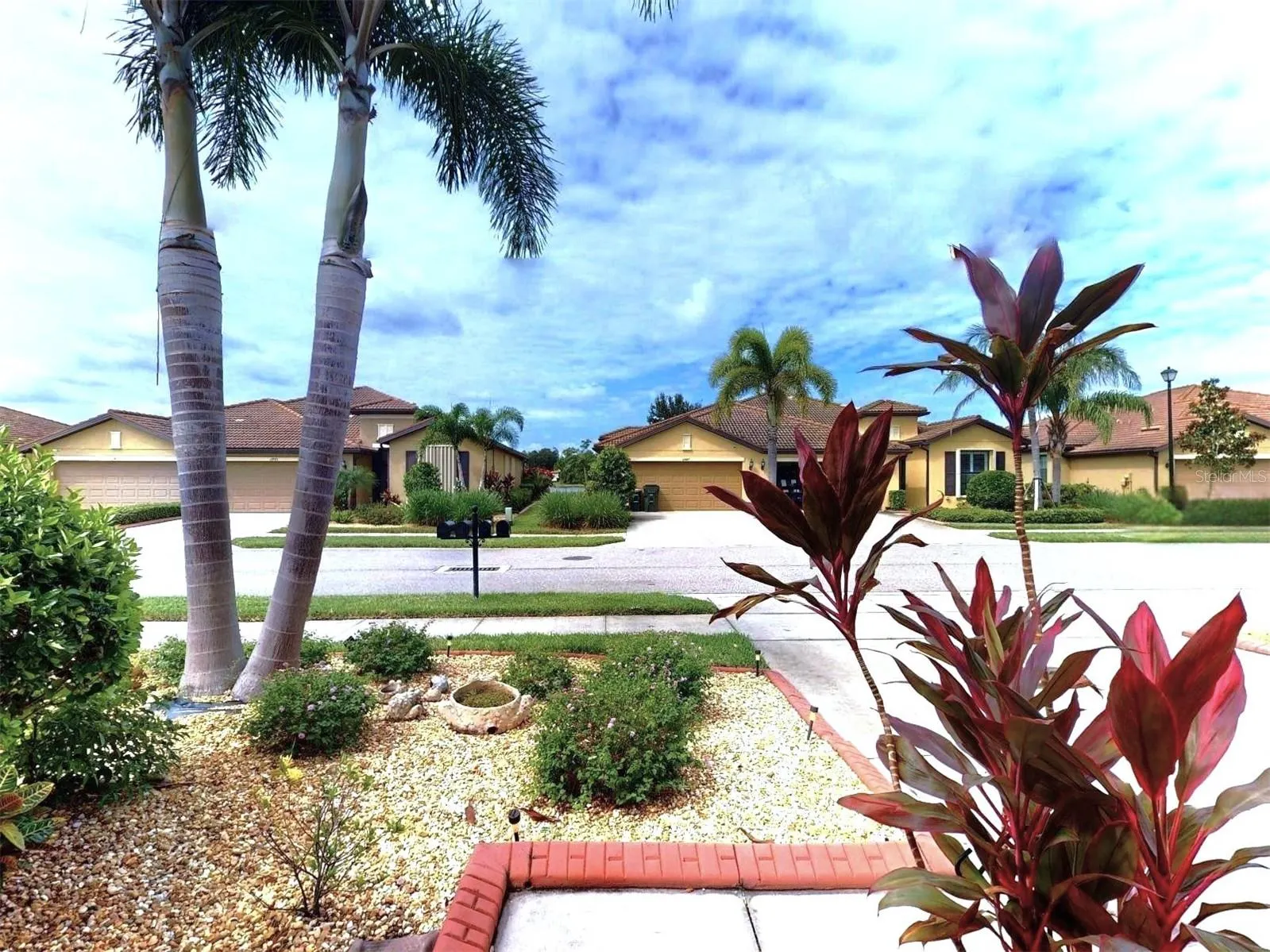 2444 DAISY DR