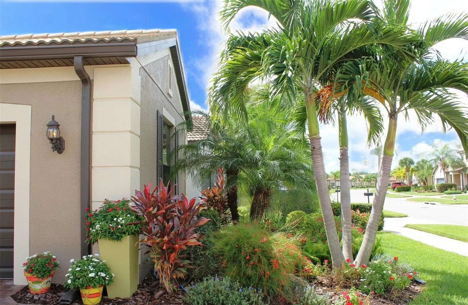 2436 ARUGULA DR