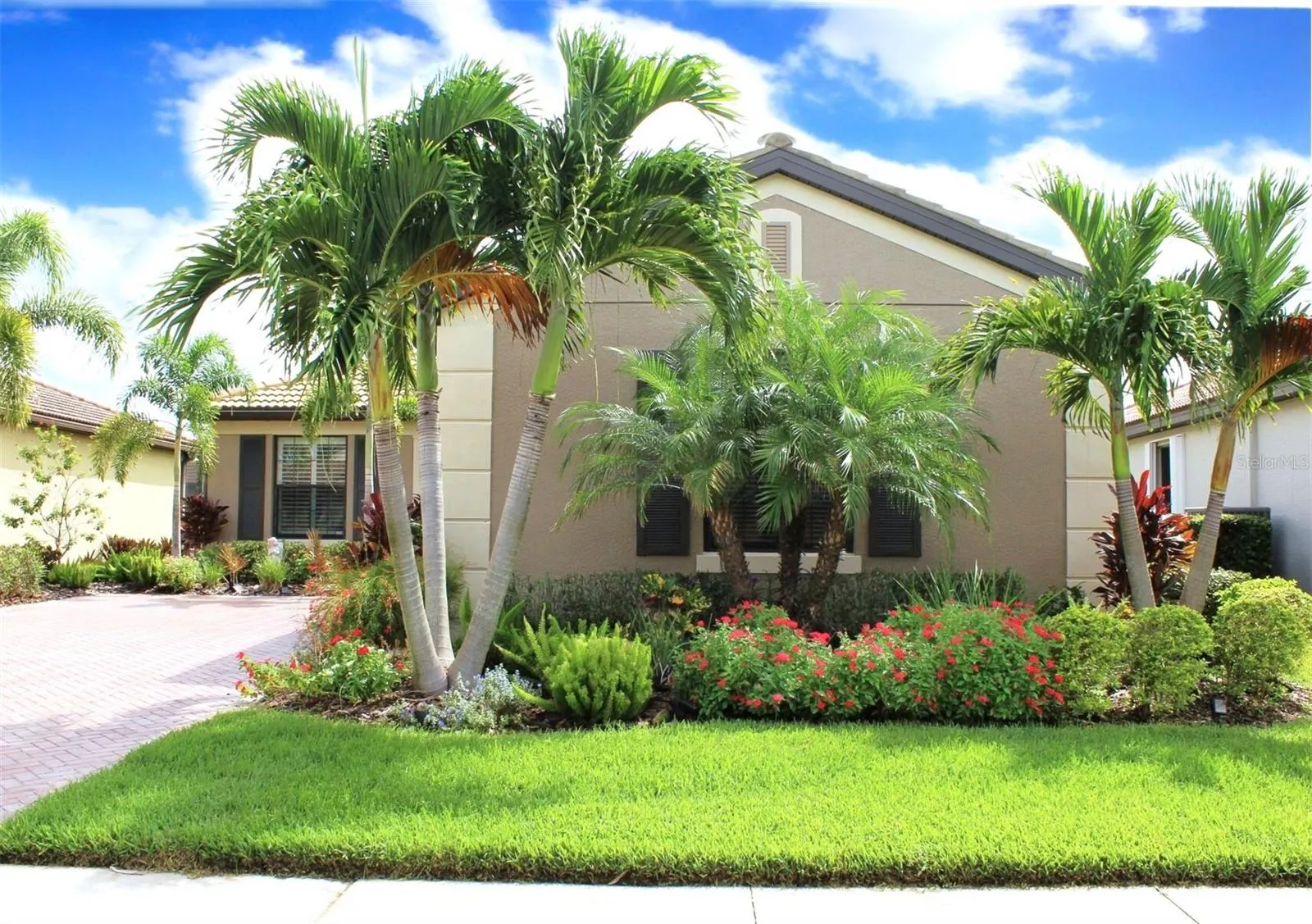 2436 ARUGULA DR