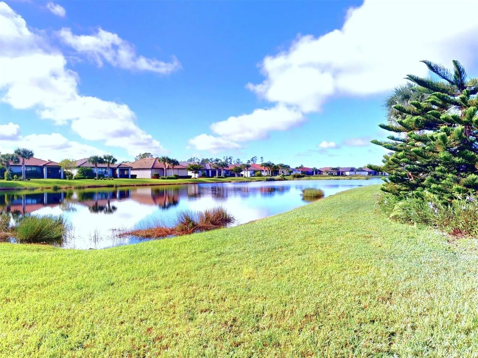 2436 ARUGULA DR