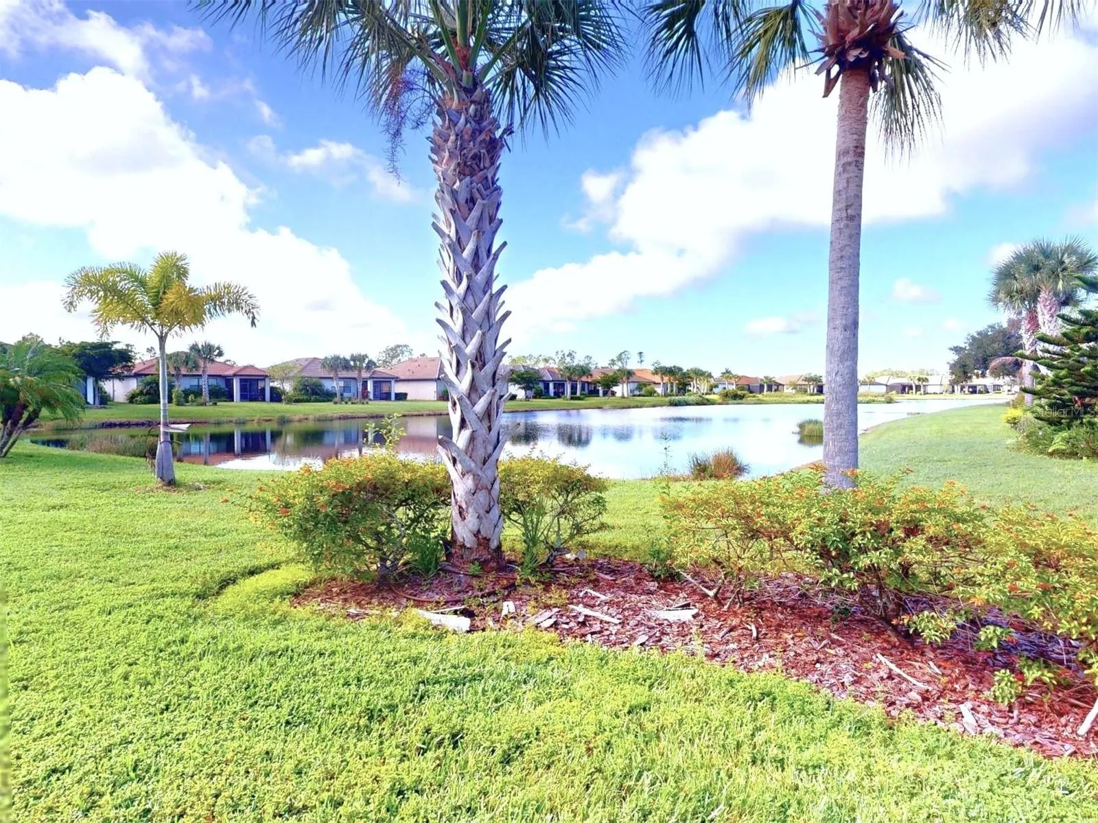 2436 ARUGULA DR