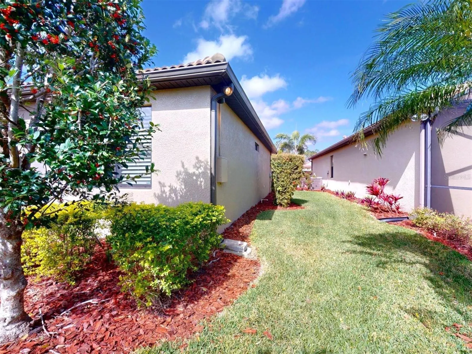 2436 ARUGULA DR