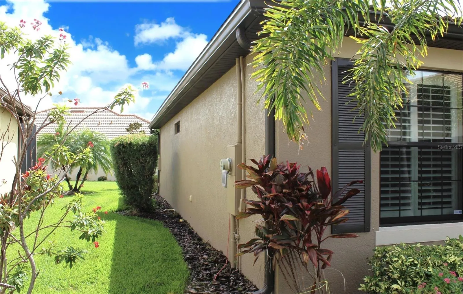 2436 ARUGULA DR