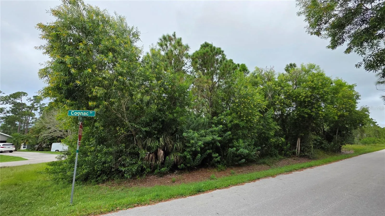 12339 COGNAC DR
