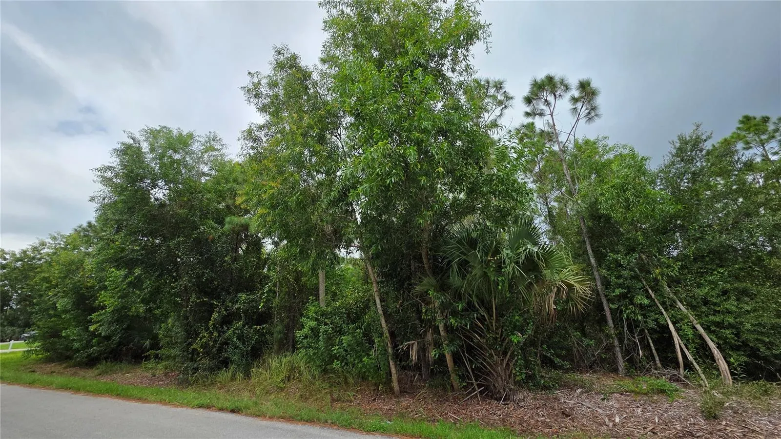 12339 COGNAC DR