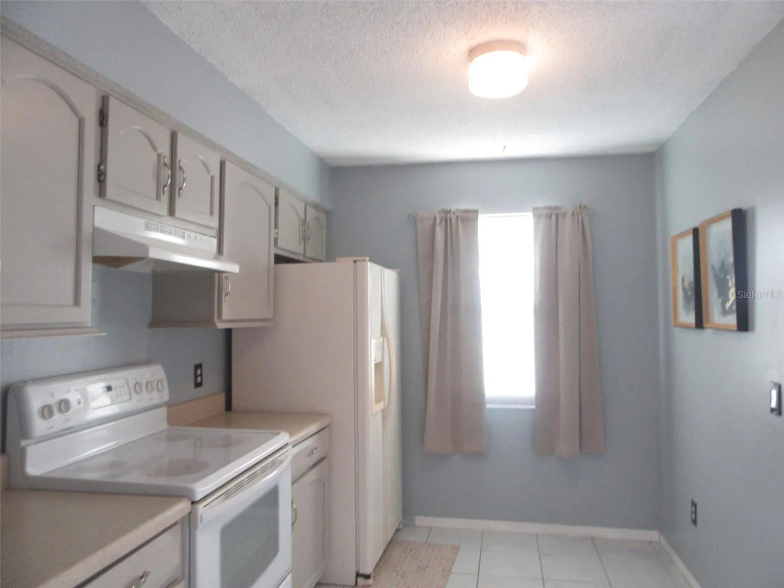 264 CAMILLIA LN #B, #B