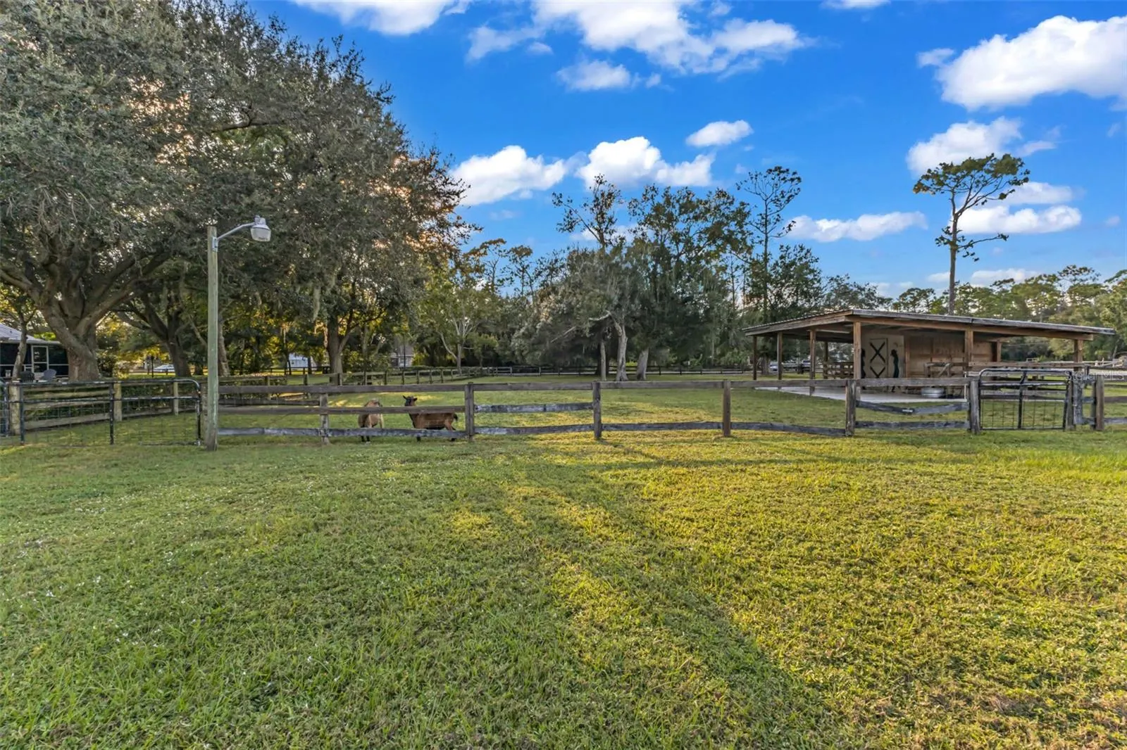 29290 LEAH RD