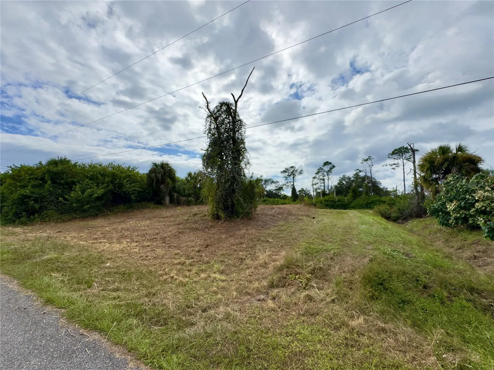 LOT 28 FLORALA ST
