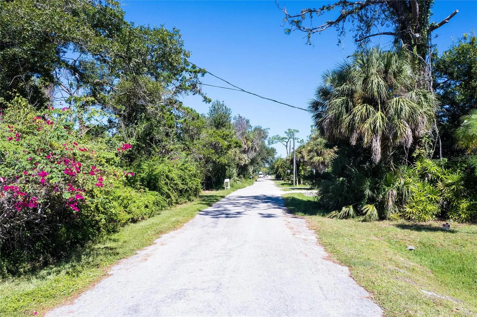 0 PINEAPPLE ST