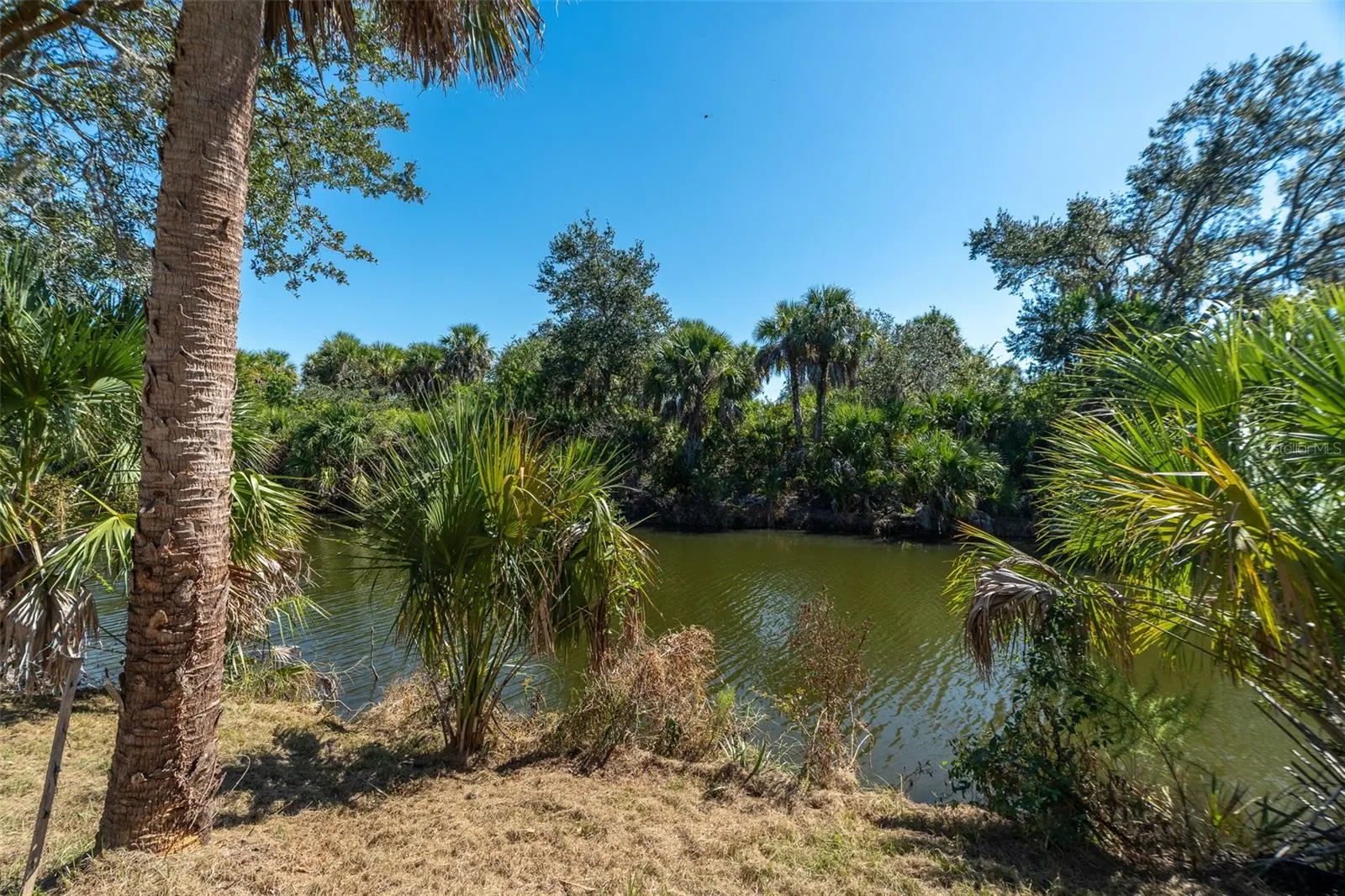 384 TAZEWELL DR