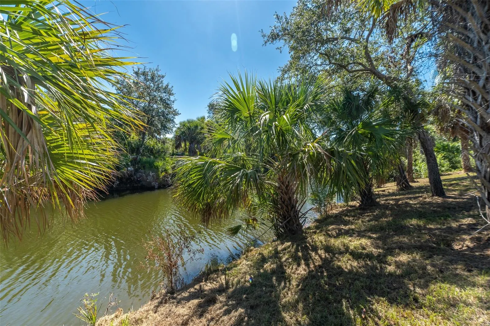 384 TAZEWELL DR