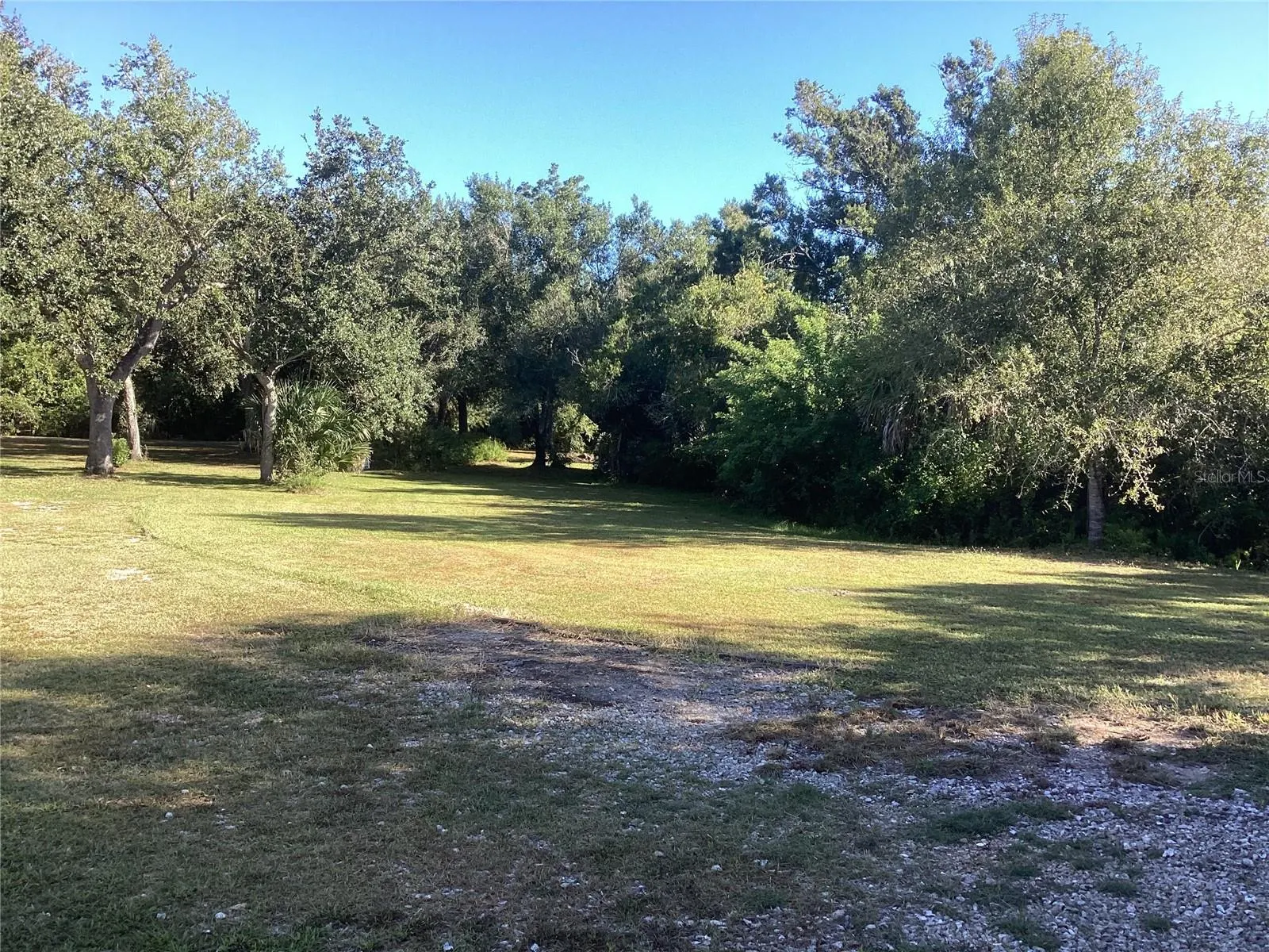 30110 LOBLOLLY PINE DR