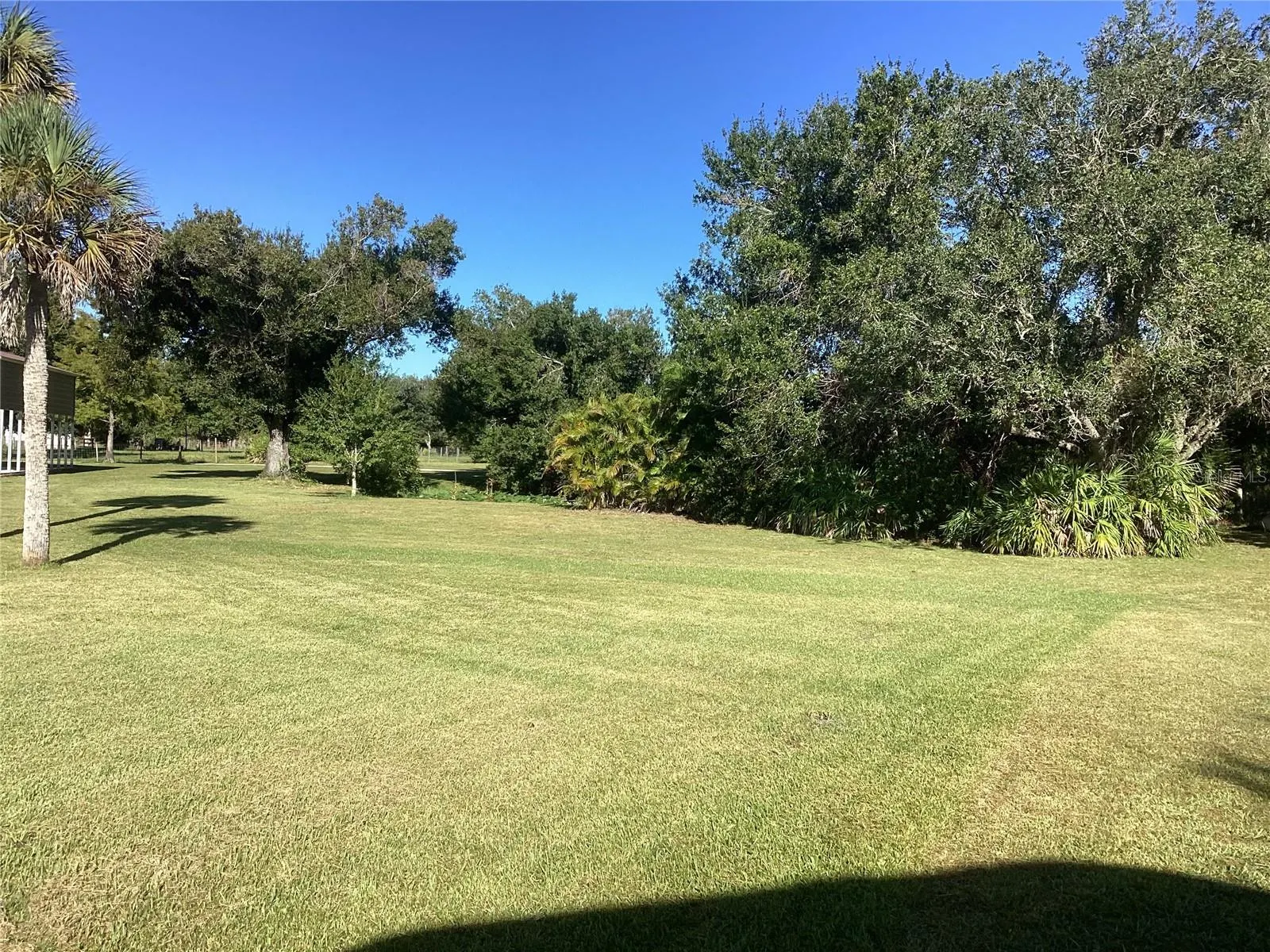 30110 LOBLOLLY PINE DR