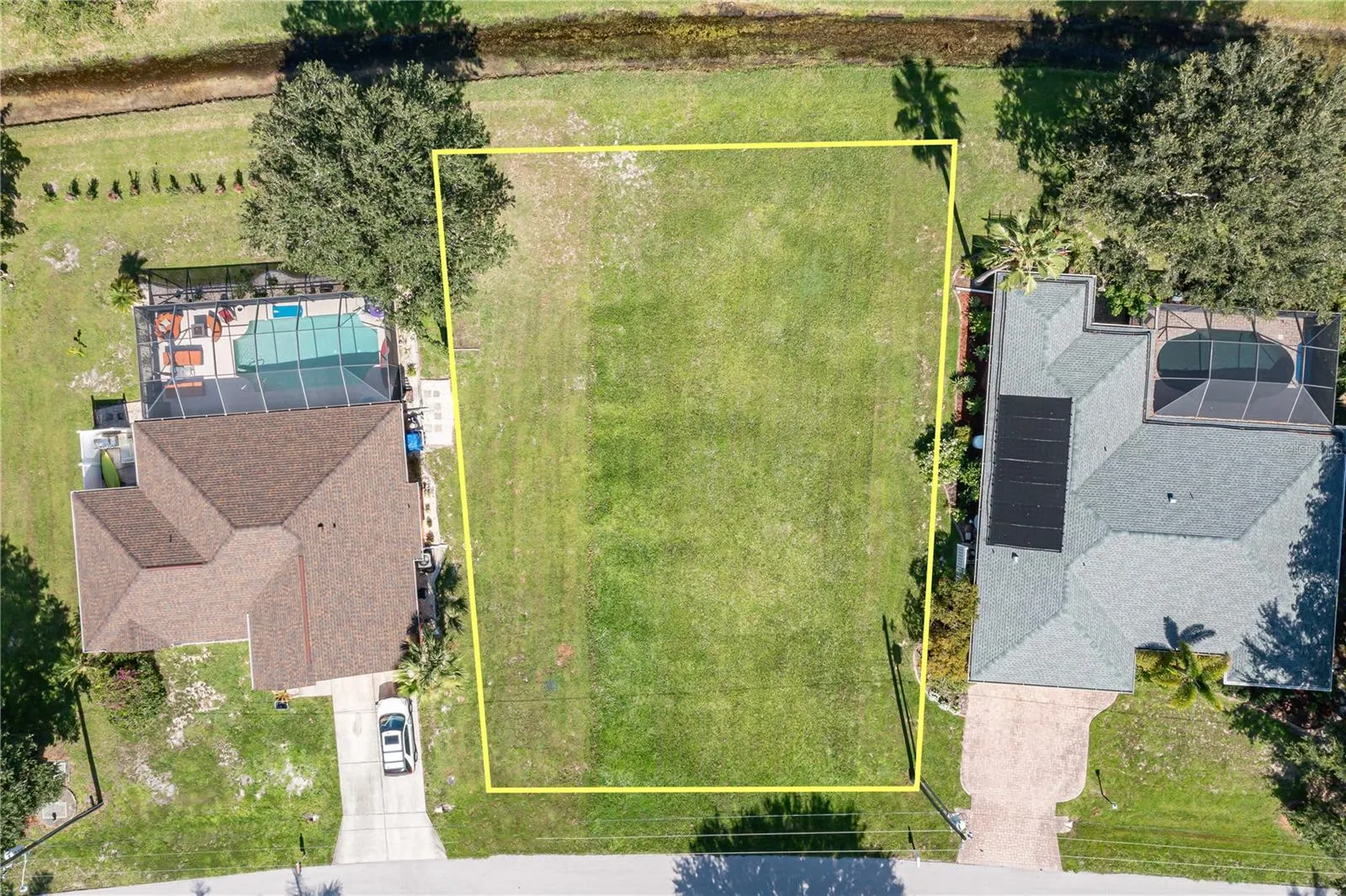 7535 CORAL TREE