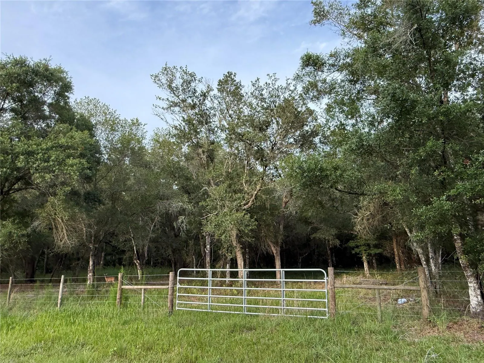 SE BROWN RD