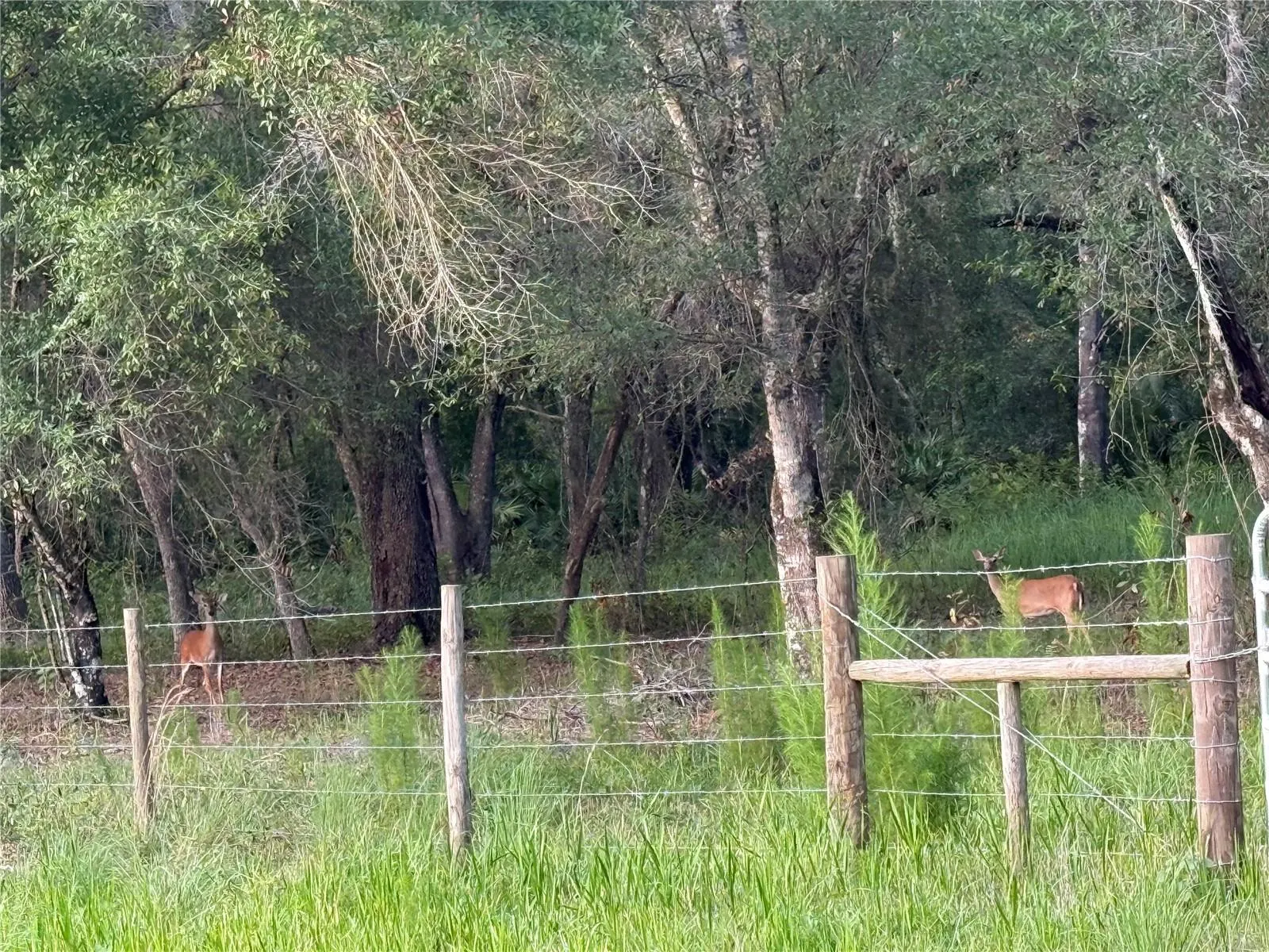 SE BROWN RD