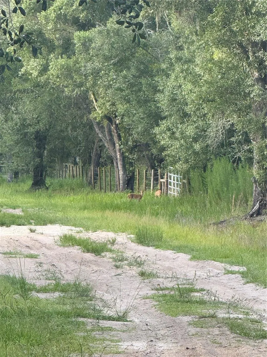 SE BROWN RD