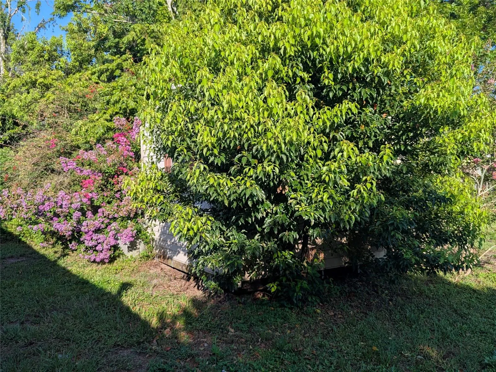 34 SEVILLA AVE