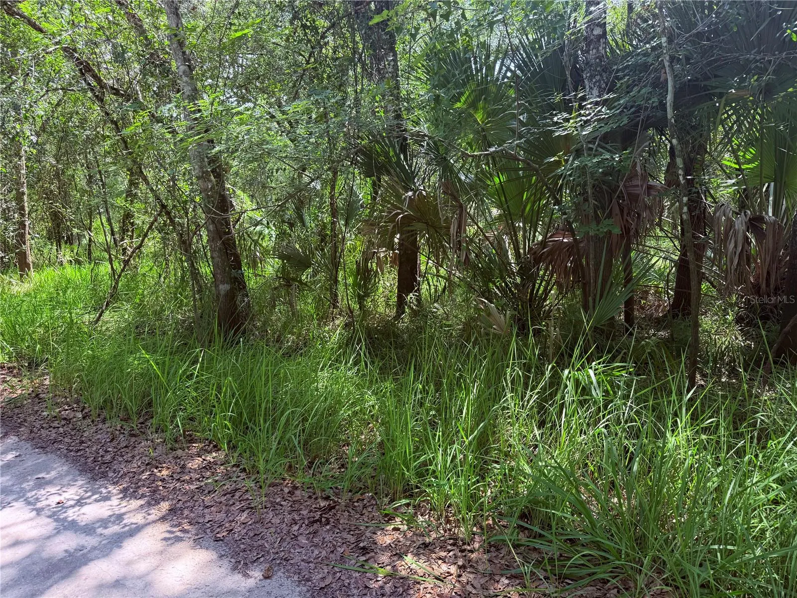 NE RIVER RIDGE AVE