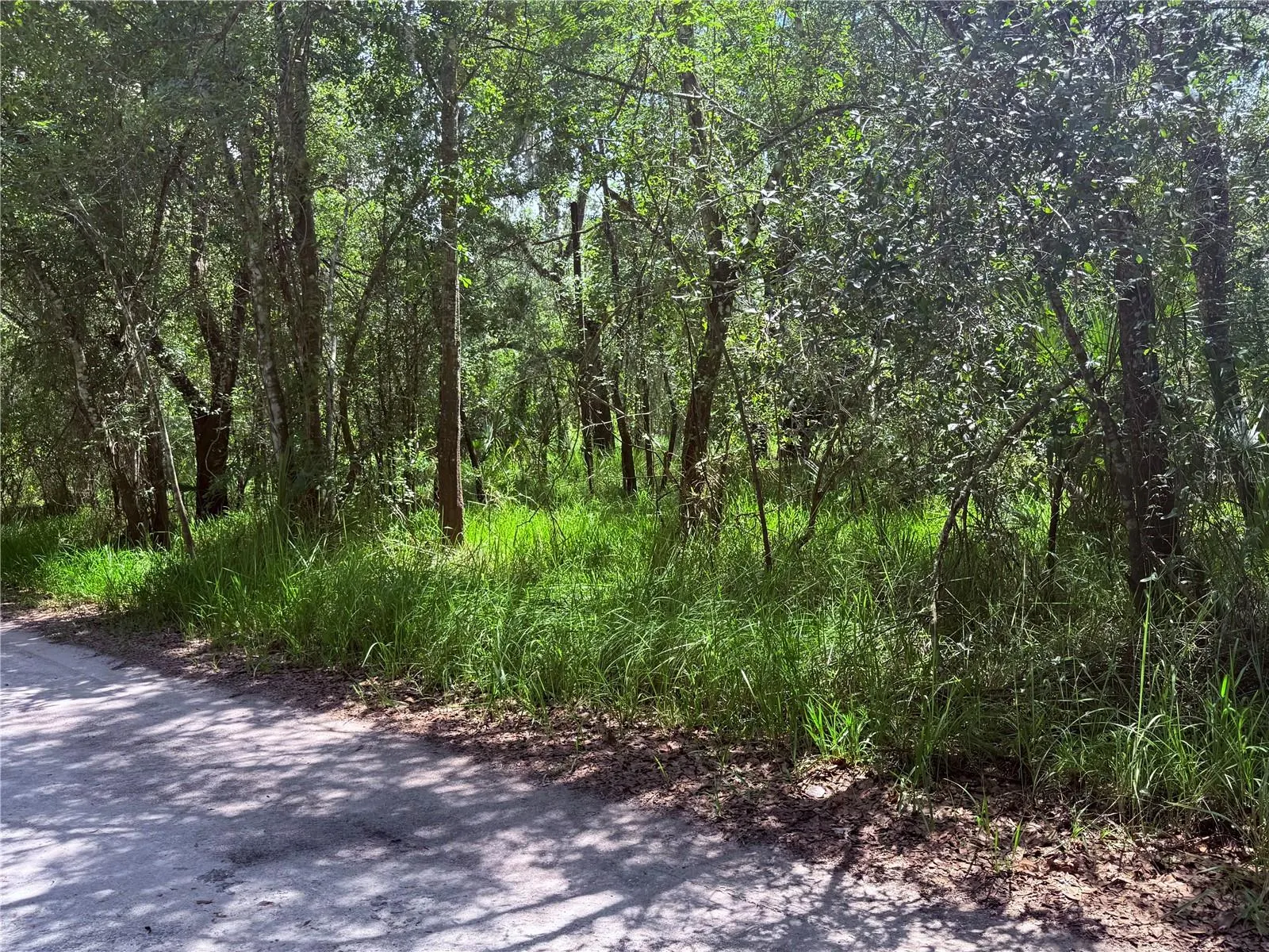 NE RIVER RIDGE AVE