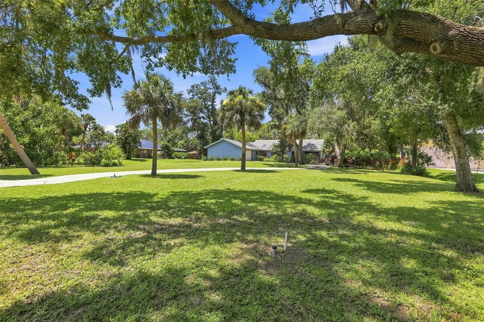 881 PINTO CIR