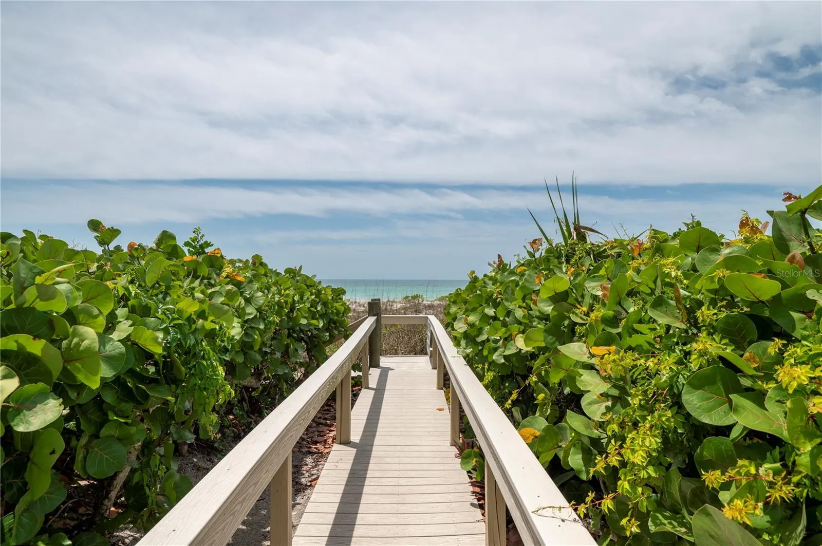 2675 GULF OF MEXICO DR #204 #204
