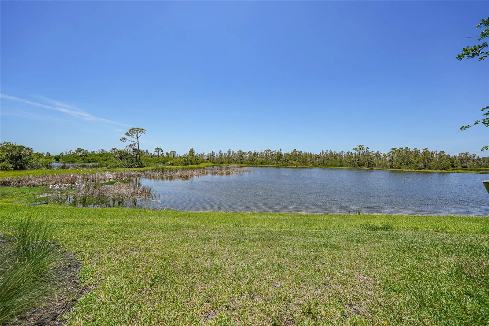 14271 HERITAGE LANDING BLVD #1516 #1516