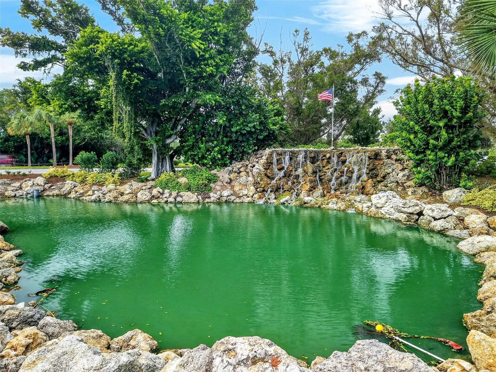 726 WHITE PINE TREE RD #84 #84