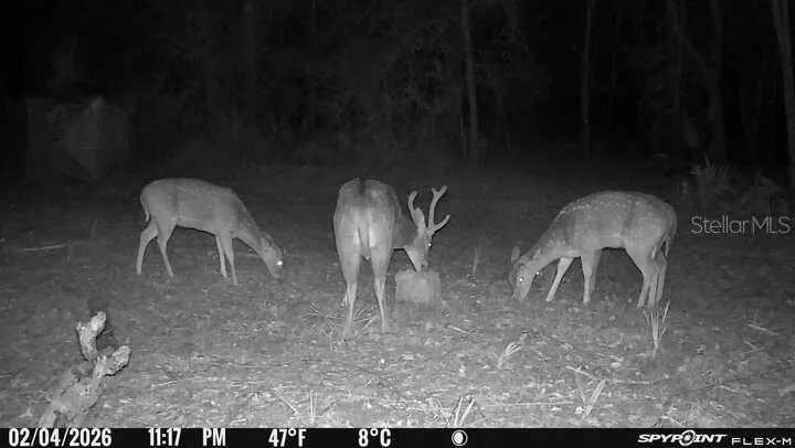8538 SW OPOSSUM TRL