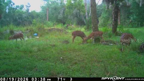 8538 SW OPOSSUM TRL