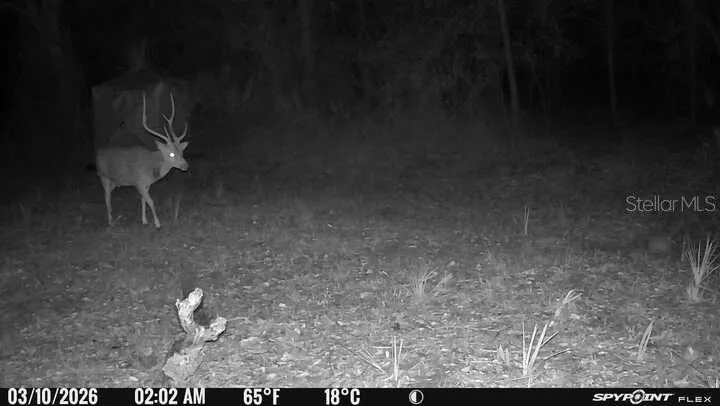 8538 SW OPOSSUM TRL