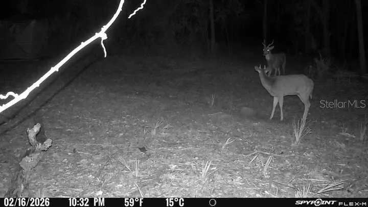 8538 SW OPOSSUM TRL
